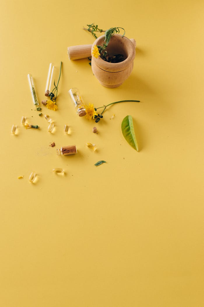 Home Pexels Photo 7526063